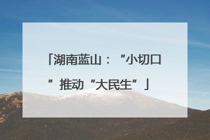 湖南蓝山：“小切口”推动“大民生”